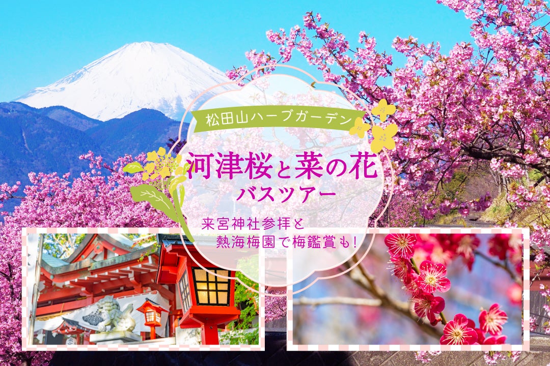 早咲きの河津桜と菜の花＆熱海梅園バスツアー
～来福・縁起のパワースポット来宮神社参拝～1