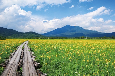【福岡空港発着】（基本プラン）尾瀬ヶ原と天空・湖上の2つの絶景遊覧 花と感動に包まれる3日間　尾瀬認定ガイドが15名様につき1名同行1