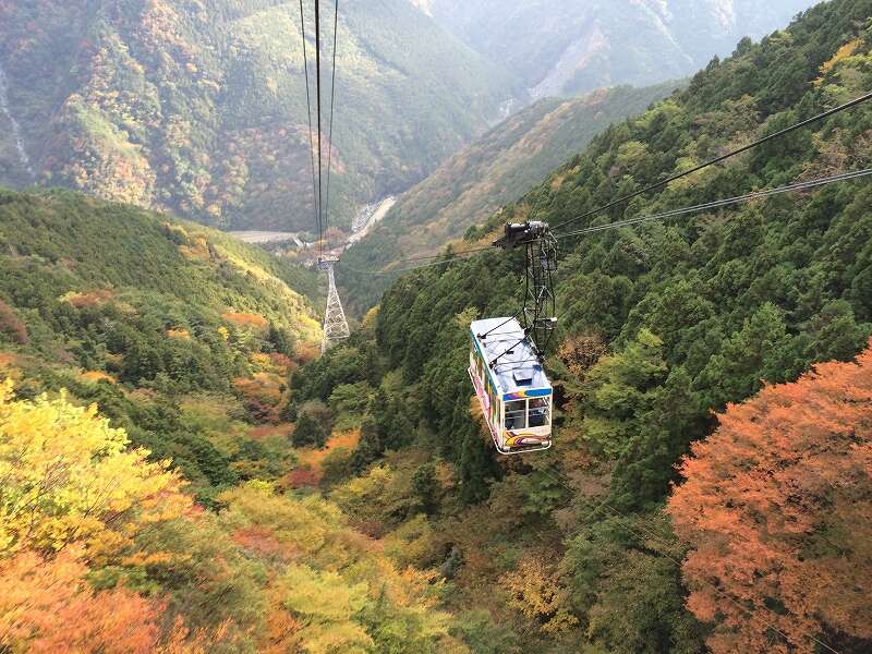 【高知県内発】 石鎚山ロープウェイで空中散歩とよしうみバラ公園 日帰り2