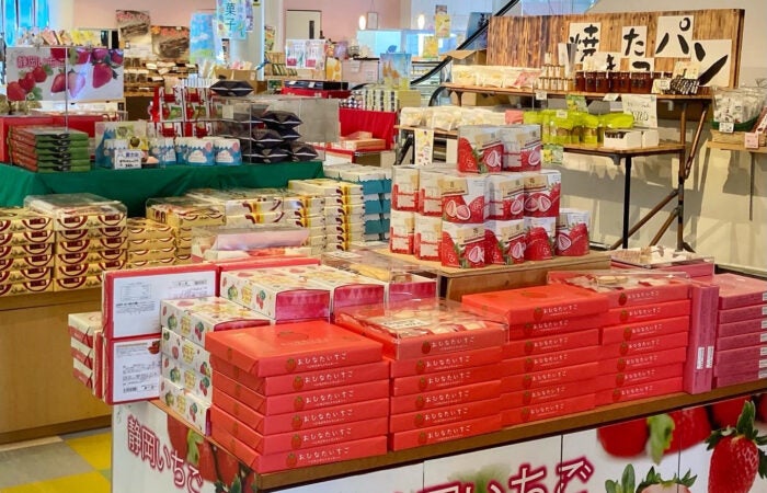 ★2/16　2/24　2/26　3/3 催行決定★【横浜発】河津桜と菜の花 早春爛漫！本場の河津桜と菜の花のコントラストたっぷり180分鑑賞【駿河産食材のお弁当付き】3