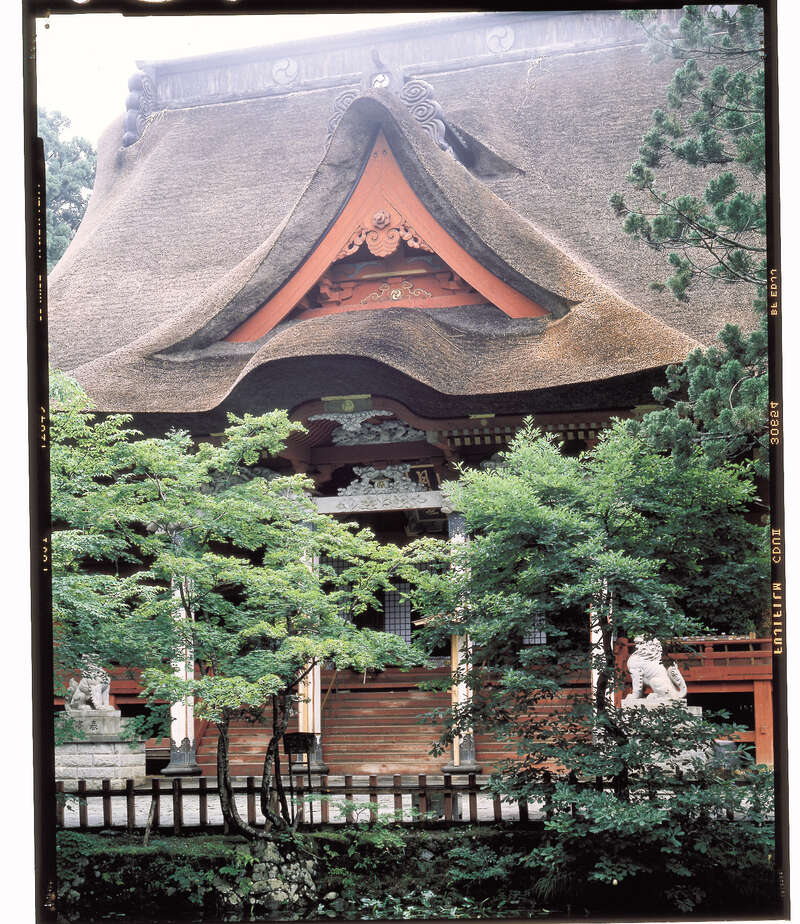 【ＪＲ和歌山駅発】 本場・山形さくらんぼ狩り食べ放題！最上川舟下り・午歳御縁年の羽黒山・蔵王・山寺　まるごと山形　3日間3