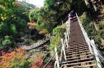 [新宿発]山梨の秘境！大柳川渓谷ハイキング【8本の吊り橋＆絶景滝めぐり】 嬉しい温泉入浴付プラン！【山好きスタッフがハイキングに同行します！】