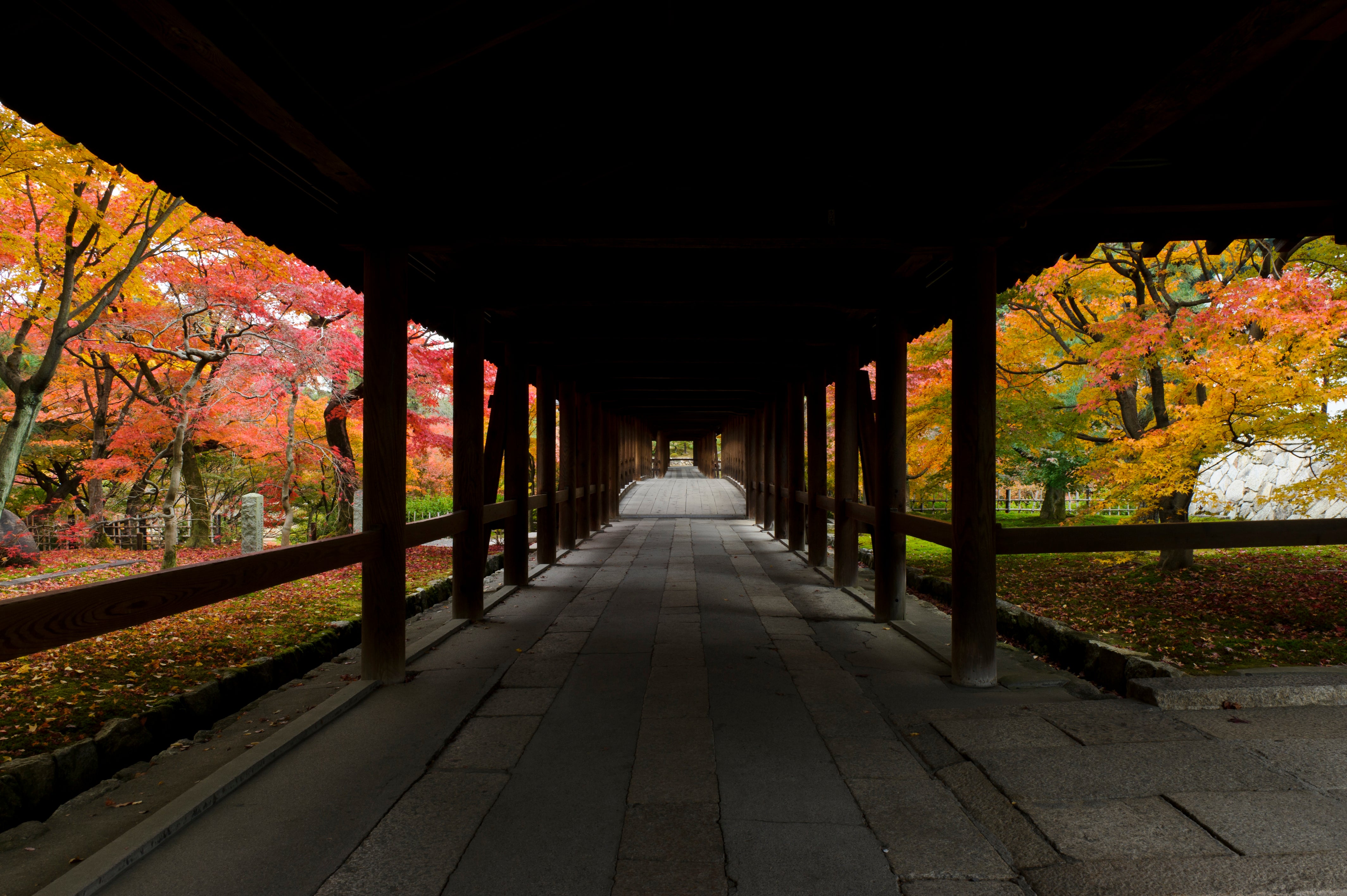 【静岡県内発】 絶景の京都！東福寺・南禅寺・永観堂・嵐山と食い倒れの街大阪　2日間1