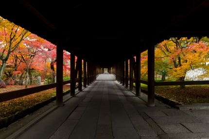 【静岡県内発】 絶景の京都！東福寺・南禅寺・永観堂・嵐山と食い倒れの街大阪　2日間