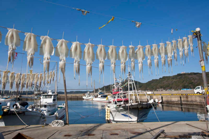 【函館空港発】 呼子のイカ！佐賀牛！牡蠣！博多水炊き！西九州ごちそう街道　4日間1