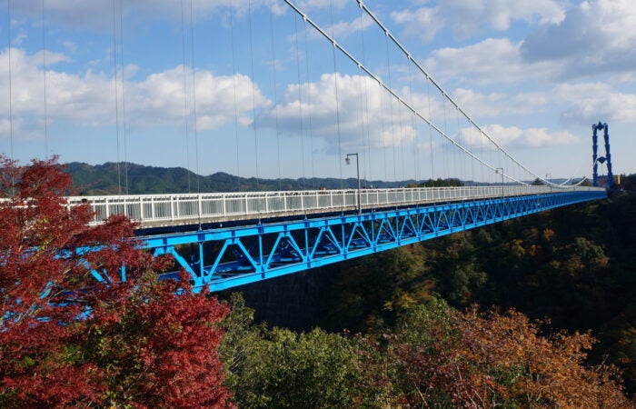 【横浜発】袋田の滝と竜神大吊橋 紅葉感じる日本三名瀑「袋田の滝」とスリル×自然を満喫「竜神大吊橋」2