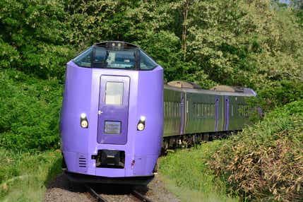 【札幌駅発】 ２つの観光列車 「特急フラノラベンダーエクスプレス」「富良野・美瑛まんきつノロッコ号」に乗車！ 夏の富良野・美瑛 青い池・白金温泉・十勝千年の森　２日間