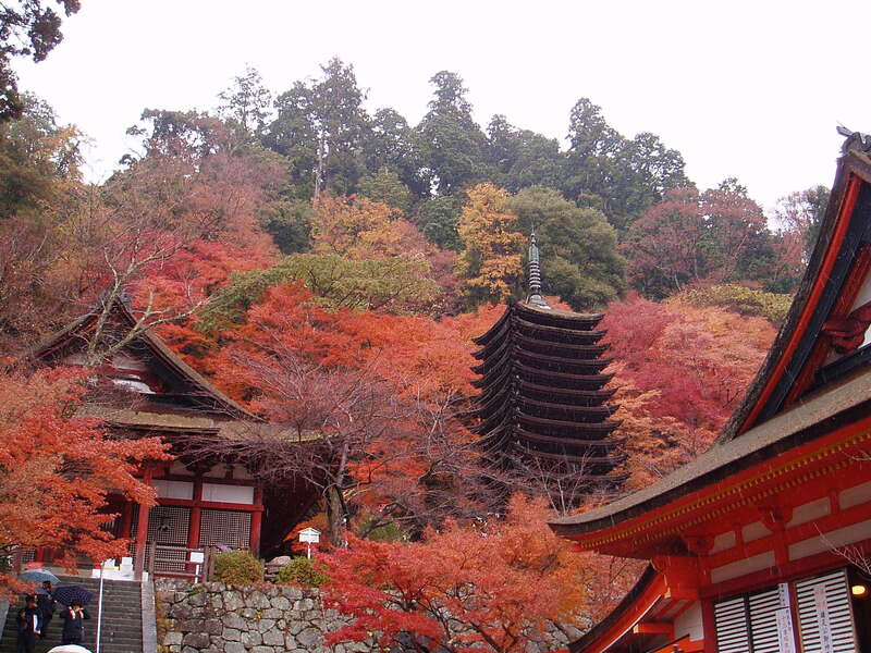 【阪神エリア発】 秋の大和路　紅葉名所「談山神社」「長谷寺」と「石舞台古墳」日帰り2
