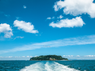 【新宿発】9,000円台~ぶっとび格安✨船で行くジブリのような世界観「猿島」探検🚢×「横須賀海軍カレー&空自揚げ」食べ放題🍛×アメリカンな雰囲気「ドブ板通り&ヴェルニー公園」散策⚓横須賀まるごと満喫!日帰りバスツアー