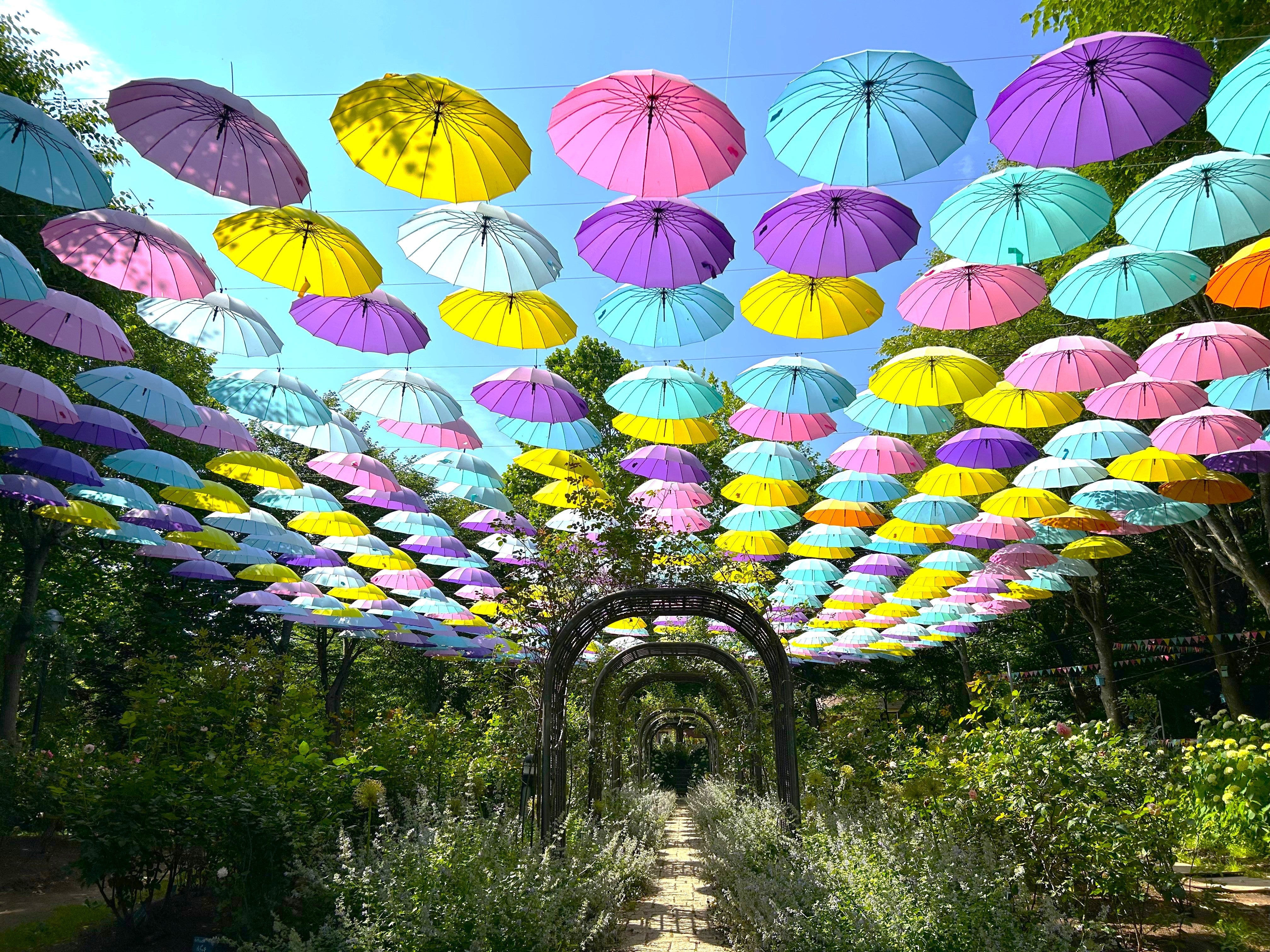 【盛岡発】花に囲まれた二つの丘陵！館ケ森アーク牧場とやくらいガーデン2