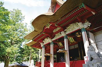 【福岡空港】大曲の花火―秋の章―と御縁年を迎えた羽黒山参拝3日間　お一人様同代金！往復仙台空港直行便利用（福岡空港⇔仙台空港間）