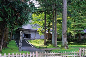 中尊寺とみちのくあじさい園2