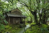 【金山駅南口発】〔遊山〕＊ 日帰り昼食付＊『丹巌洞季節の和懐石と平泉寺白山神社』2