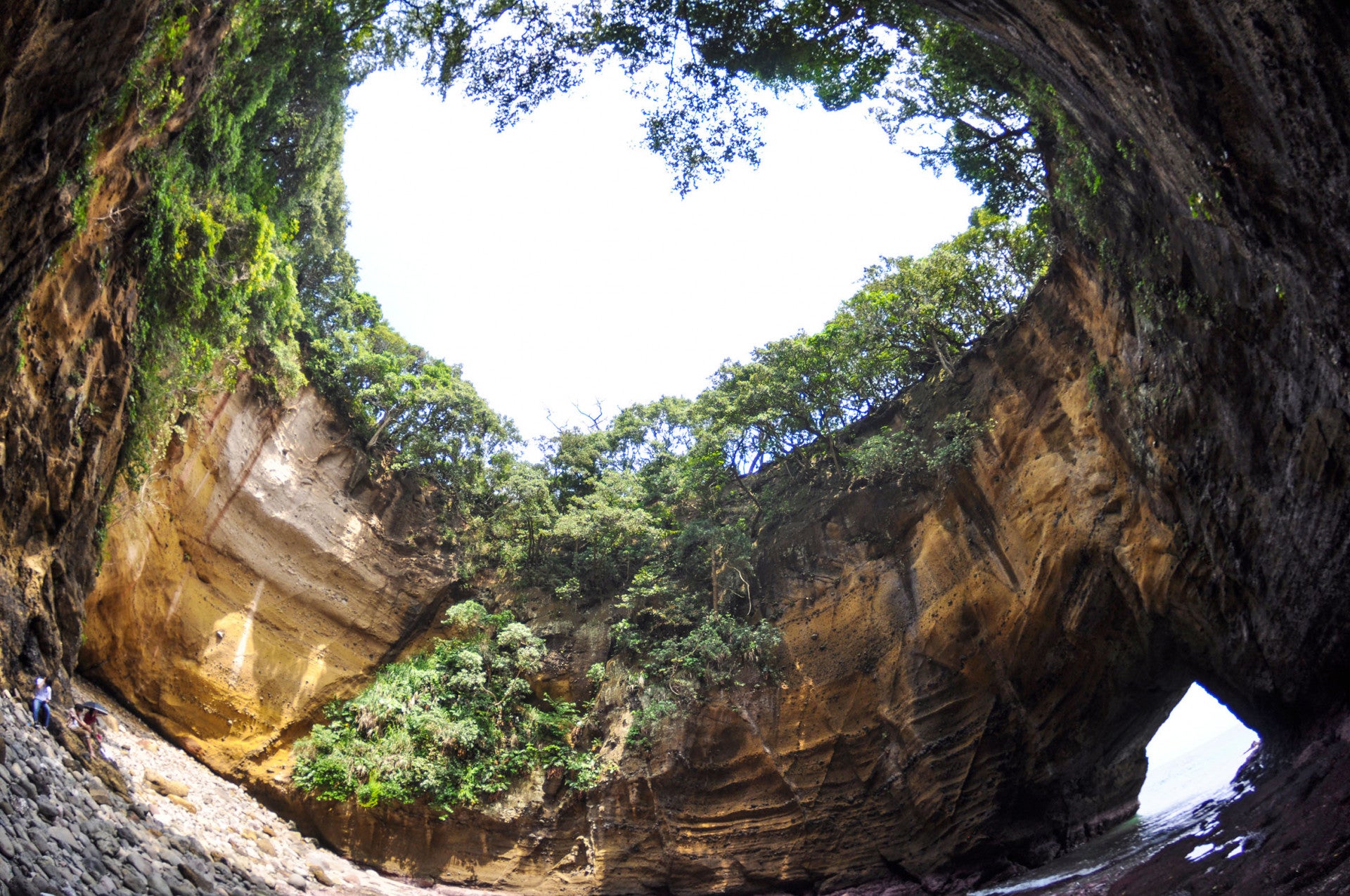 往復近鉄特急利用！伊豆半島ぐるり一周名景＆秘境・絶景めぐり3日間【大阪難波駅・大阪上本町駅・鶴橋駅・大和八木駅発】2