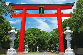 姫路・明石 発
ふるさと兵庫100山&番外編 大麻山