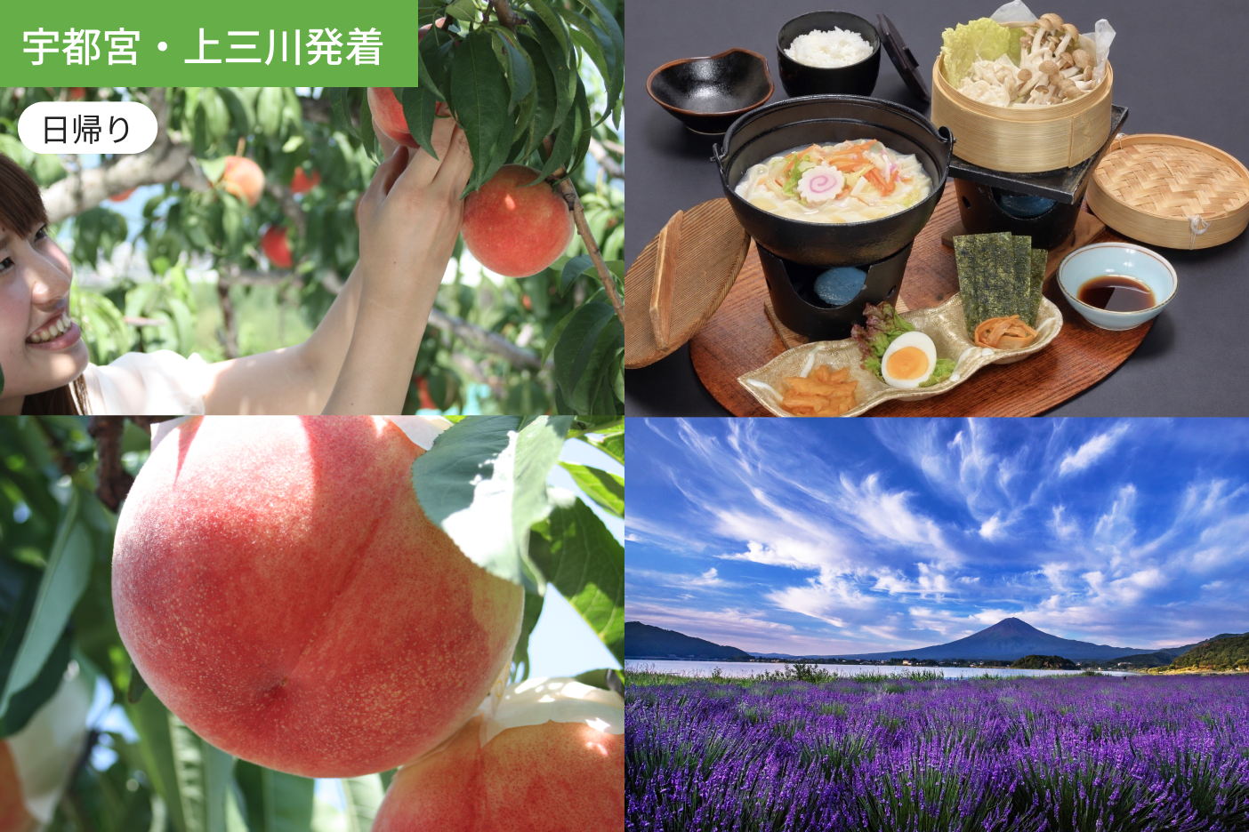 【宇都宮発着】初夏の山梨満喫　桃狩りとご当地グルメ「ラーほー」（ラーメン×ほうとう）と　河口湖でﾗﾍﾞﾝﾀﾞｰ満喫1