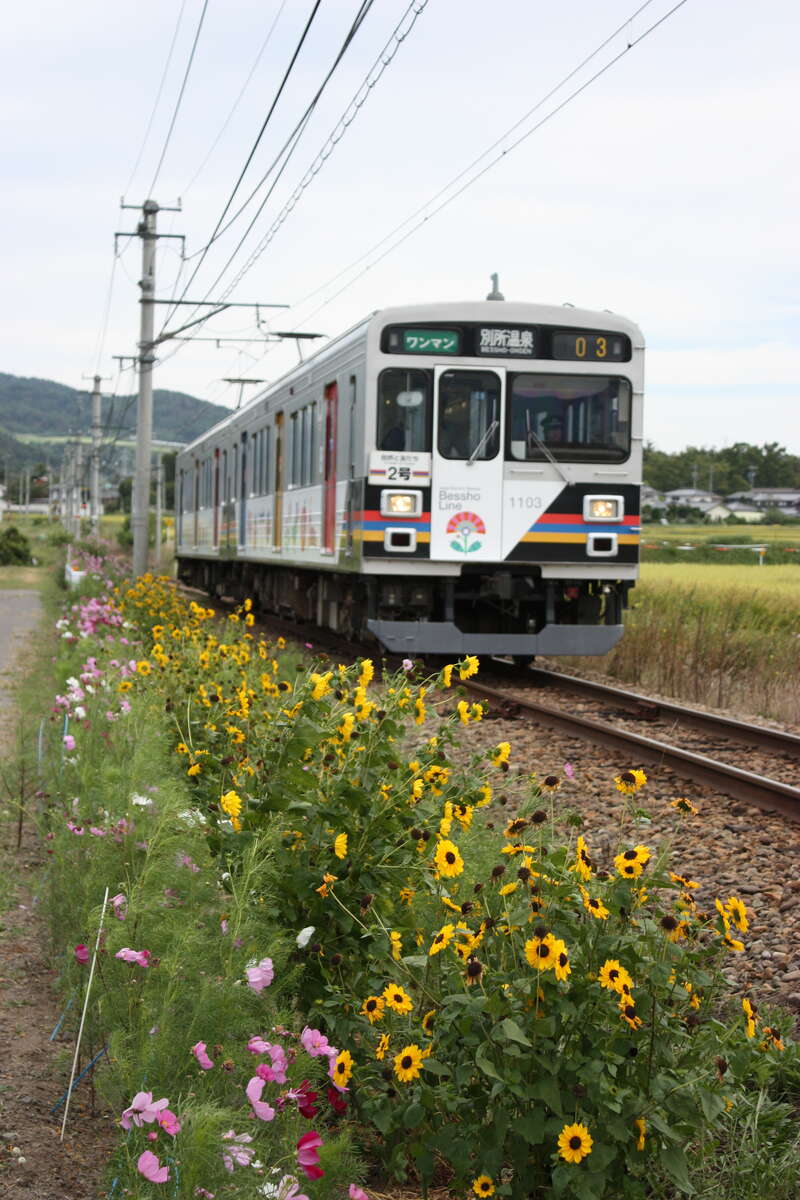 【高崎駅発】 ＜WEB予約・カード決済限定＞【列車+観光】信州の鎌倉『別所』と上田電鉄途中下車の旅 日帰り1