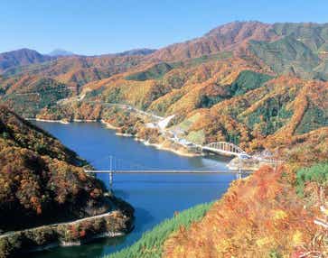 【富山県内発】 九頭竜湖紅葉まつり と ガイドと学ぶ「福井県立一乗谷朝倉氏遺跡博物館」 日帰り