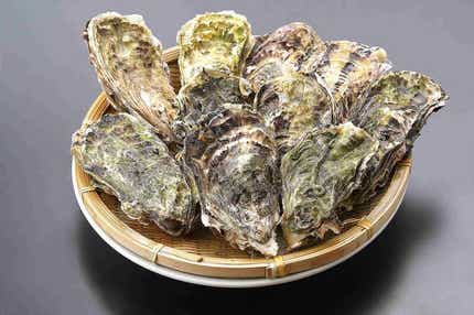 【富山県内発】 「能登國一宮気多大社」参拝と能登かき食べ放題のご昼食