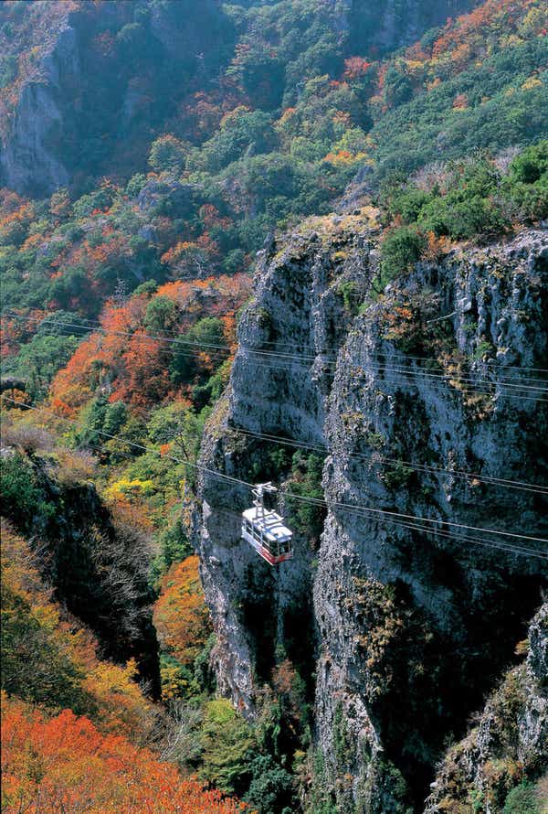 【兵庫エリア発】 秋の絶景渓谷美！小豆島紅葉の寒霞渓ロープウェイ  日帰り1