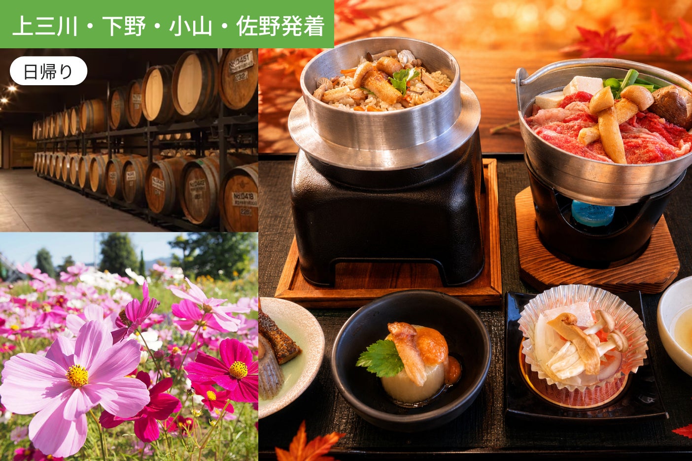 【上三川・下野・小山・佐野発着】松茸食べよ！おいしいお土産付き、秋色ミステリーツアー【昼食付】1