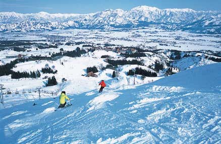 [東京/新宿発]【往復バスで行く】夜発 「ホテルグリーンプラザ上越」 車中1泊現地2泊4日【1日リフト入場券2枚付】【翌朝食付】