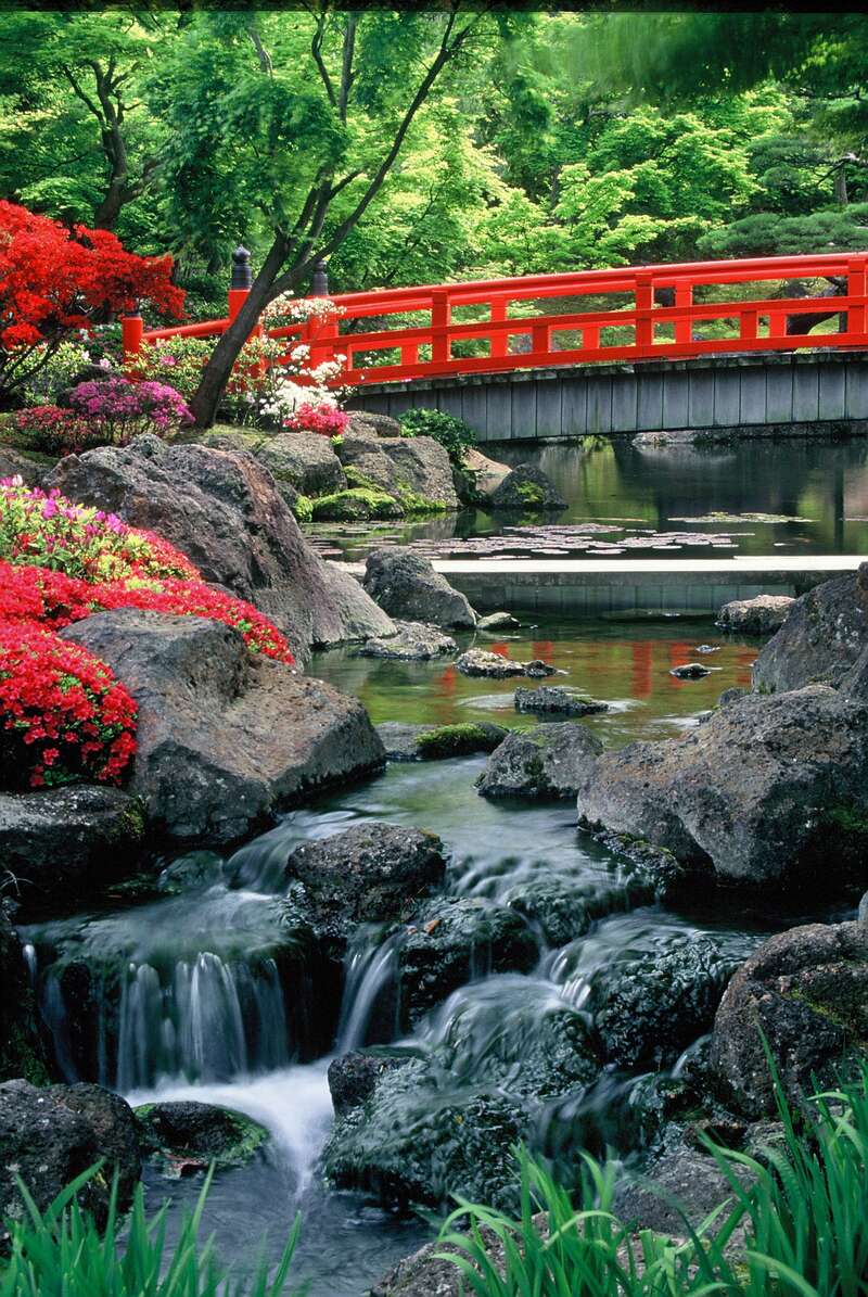 【新大阪・新神戸・岡山駅発】 GWに行く！出雲大社・松江城公園・足立美術館とボタンまっさかりの日本庭園由志園２日間3