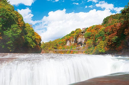  【JR利用/福井県発着】草津温泉と老舗旅館に泊まる草津・四万・伊香保 上州3つの名湯めぐり3日間　～万平ホテルでランチを愉しむ（2日目）～3