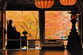 紅葉の談山神社・長谷寺～紅・黄・緑の紅葉三色を楽しむ～3