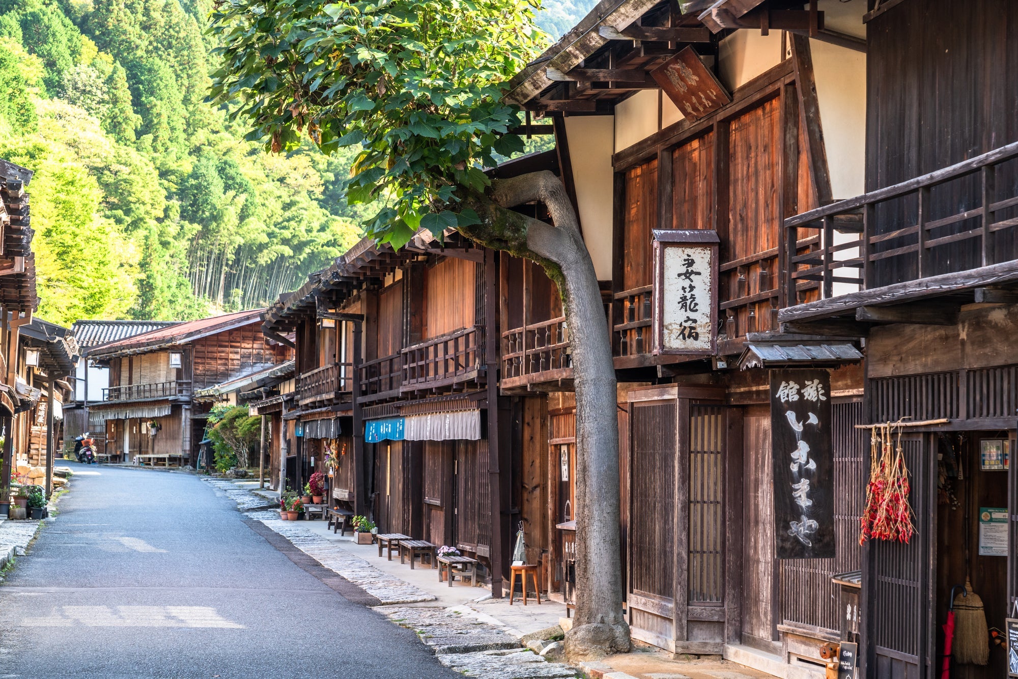 『妻籠宿・馬籠宿　歴史ある宿場町の散策と静寂に包まれる苔の森・白駒池で自然満喫　２日間』【天王寺・なんばパークス・梅田　出発】＜ミニハイキング＞1