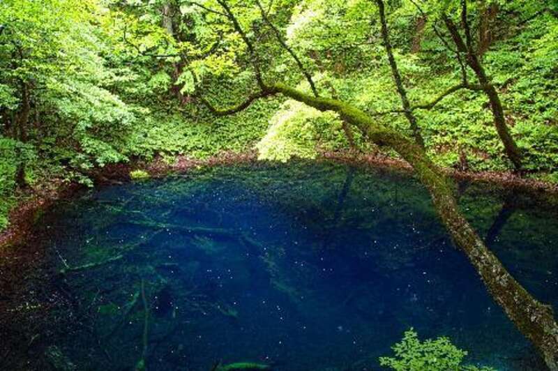 【新千歳空港発】 五能線　リゾートしらかみ乗車！ 世界自然遺産「白神山地」と津軽・男鹿２大半島めぐり(3日間)1