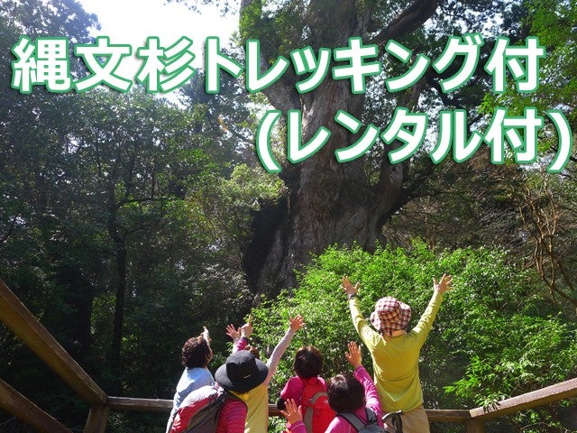 ■往復航空機利用！【ガイドと行く！縄文杉トレッキング<レンタル装備3点(リュック・登山靴・レインウェア)付>】2泊3日2