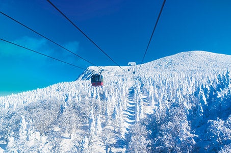 【高知空港】3つの当社基準最上級Sランクホテルに泊まる みちのくグルメ・名湯・絶景を堪能する至福の東北旅4日間　～4日間バスガイド同行！～3