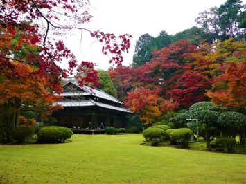 【柳川・みやま・羽犬塚・西鉄久留米発】 ”元天皇料理番”の味を食す！麻生大浦荘秋の一般公開と45年ぶりの再始動！酒蔵記念館・梅ヶ谷酒造　日帰り