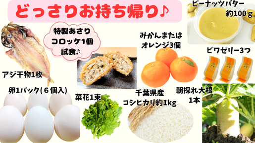 ＜Web割対象商品＞【キングツアーバス旅】お先に春気分！どっさどっさin花咲く房総〔新百合ヶ丘・狛江発〕1