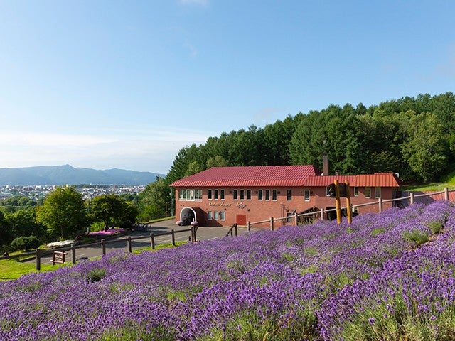 【新千歳空港利用】旅程2日目：観光周遊バス「ふらの号 エンジョイコース」付！富良野エリアホテルチョイス2泊3日1