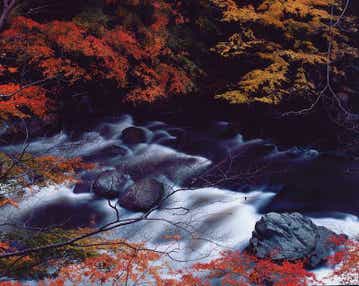 【福島県内発】 味覚と紅葉の秋を網羅!行楽シーズンのJR磐越東線沿線秋旅(日帰り)