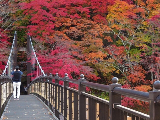■【栃木】錦秋の那須を空中散歩！「紅葉ゴンドラ」ハンターマウンテン塩原×穴場スポット「紅の吊橋」へ！源泉掛け流しの足湯回廊「湯っ歩の里」＆トマトとバジルのハニー油淋鶏のお弁当♪3