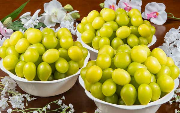 【千葉県内※銚子・茂原発着ルートを除く発】 シャインマスカット＆メロン食べ放題ミステリー日帰り1