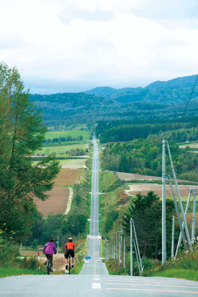 【札幌駅南口発】 ふらの３つの花めぐりと 富良野メロンご賞味（日帰り）2