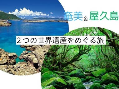 ■【屋久島＆奄美大島それぞれで自然を感じるアクティビティ付 縄文杉トレッキング＆金作原散策】後泊奄美　２つの世界遺産の島を巡る旅　TheHotelYakushima指定（屋久島2泊/奄美2泊）4泊5日