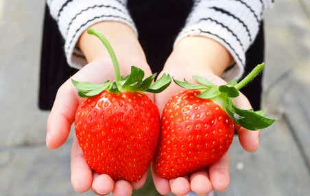 【倉吉・ハワイ・鳥取 発】 令和8年!新春8のおもてなしミステリーツアー 日帰り