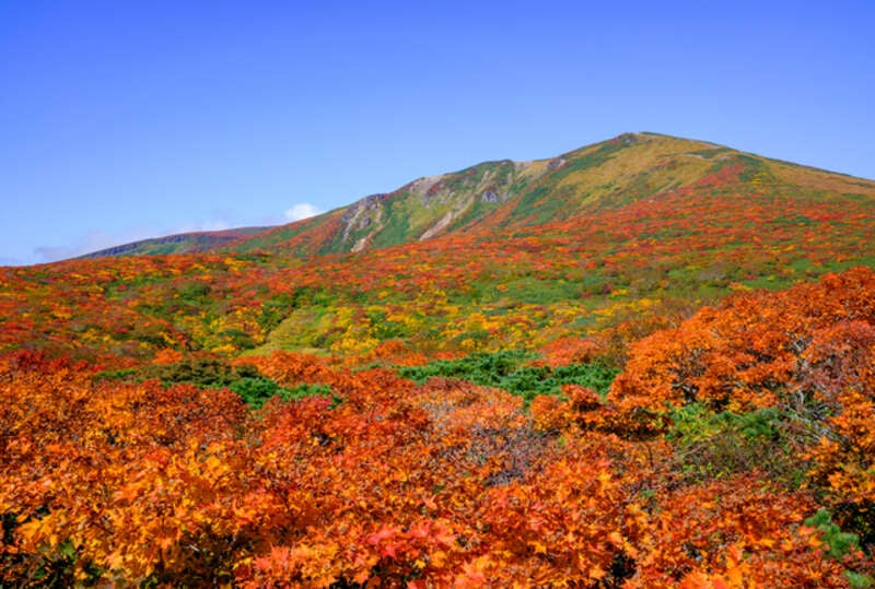 【米子空港発】 《登山》紅葉のじゅうたん！栗駒山登山２日間＊1