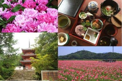 【広島駅新幹線口・アストラムライン古市駅発着／日帰り】～ふるさと応援団～ お寺で精進料理≪岡山編≫ 岡山・宝福寺と高梁市武家屋敷