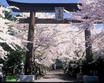 【神奈川県内・町田発】 春らんまんミステリーツアー 日帰り