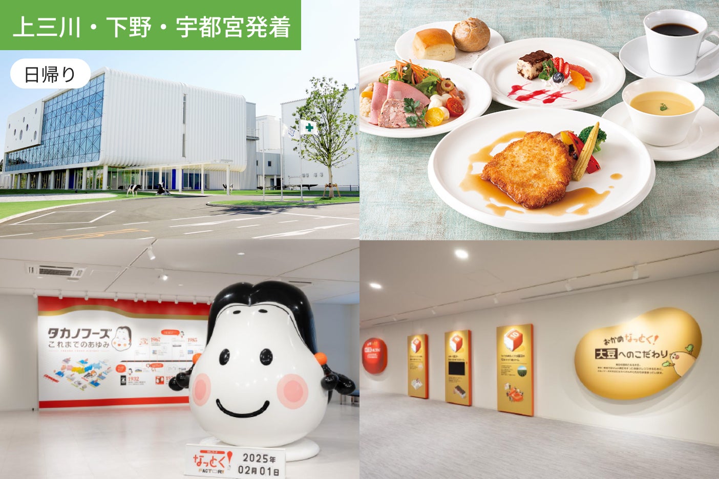 【上三川・下野・小山・佐野発着】おとなもこどもも楽しめる！社会科見学 「タカノフーズなっとく！ファクトリー」と御土産つき「雪印メグミルク」へ行こう【ホテルコースランチ付】1