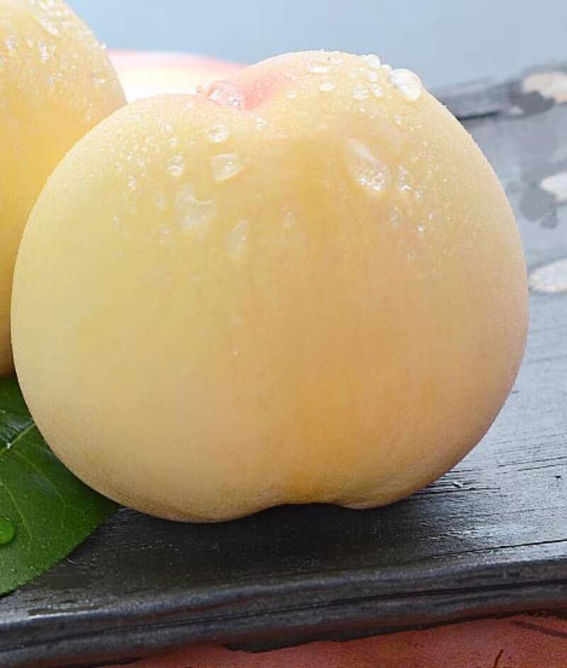 【ＪＲ京都駅前発】 岡山白桃お持ち帰り！おかやま白桃祭　日帰り2