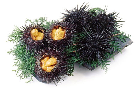 *【伊丹発着】当社基準最上級Sランクホテル×インフィニティ風呂×朝食自慢の宿　北海道旬を味わう一期一会な旅4日間　旬の味覚一期一会な旅《第2回》海が青く透き通る時期にしか味わえない美食2