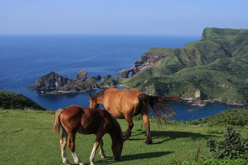 【三沢空港発】 神秘の隠岐の島・霊峰大山2大絶景と出雲大社・足立美術館・鳥取砂丘(4日間）1