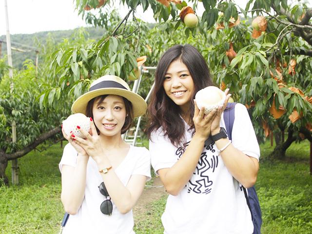 ■【兵庫県・岡山県】一面に咲く約100万本の『南光ひまわり畑』鑑賞🌻＆はちみつ食べ比べ🍯 フルーツW狩り✌ブルーベリー狩り＆桃の名産地・岡山で旬の桃狩り🍑3